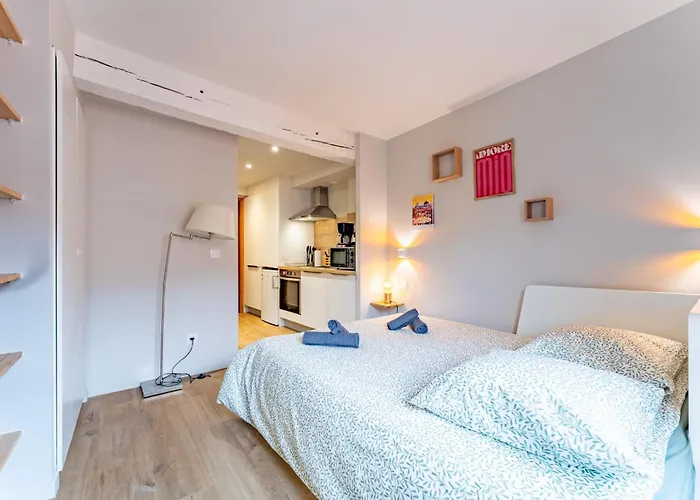 Le Cosy Capitole - Hypercentre Διαμέρισμα Τουλούζη